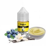 Blueberry Killer Kustard Salt Nic By Vapetasia 30ml